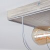 Hodne Taklampa Grått, Svart, 2-ljuskällor