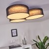 Purus Taklampa LED Svart, 1-ljuskällor