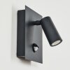 Saeter vägglampa utomhus LED Svart, 1-ljuskällor, Rörelsedetektor
