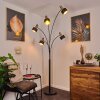 Pretoria Golvlampa, Golvlampa, Båglampor Antikmässing, Svart, 5-ljuskällor