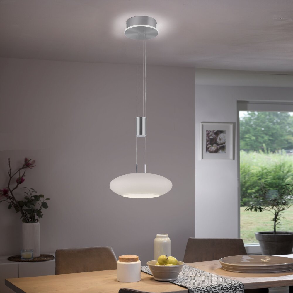 Paul Neuhaus Q-Serie Q-ETIENNE Pendelbelysning LED Stål borstat, 2-ljuskällor, Fjärrkontroll main product photo