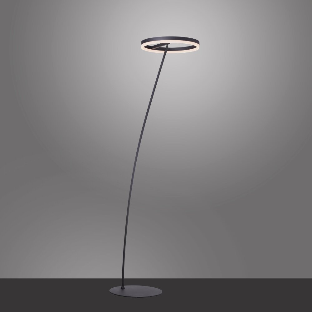 Paul Neuhaus TITUS Golvlampa Antracit, 1-ljuskällor main product photo