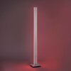 Paul Neuhaus Q-Serie Q-ADRIANA Golvlampa, Golvlampa LED Aluminium, 2-ljuskällor, Fjärrkontroll
