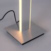 Paul Neuhaus Q-Serie Q-ADRIANA Golvlampa, Golvlampa LED Aluminium, 2-ljuskällor, Fjärrkontroll