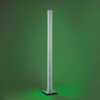 Paul Neuhaus Q-Serie Q-ADRIANA Golvlampa, Golvlampa LED Aluminium, 2-ljuskällor, Fjärrkontroll