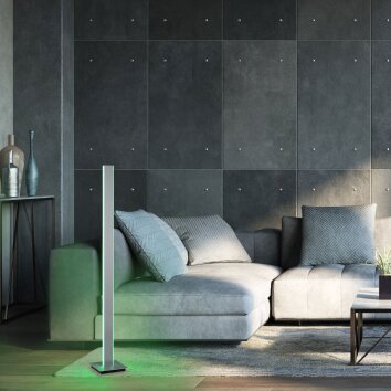 Paul Neuhaus Q-Serie Q-ADRIANA Golvlampa, Golvlampa LED Aluminium, 2-ljuskällor, Fjärrkontroll