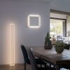 Paul Neuhaus Q-Serie Q-KAAN Golvlampa, Golvlampa LED Stål borstat, 2-ljuskällor, Fjärrkontroll