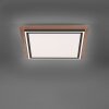 Paul Neuhaus Lampor PALMA Taklampa LED Naturfärger, Svart, 2-ljuskällor, Fjärrkontroll