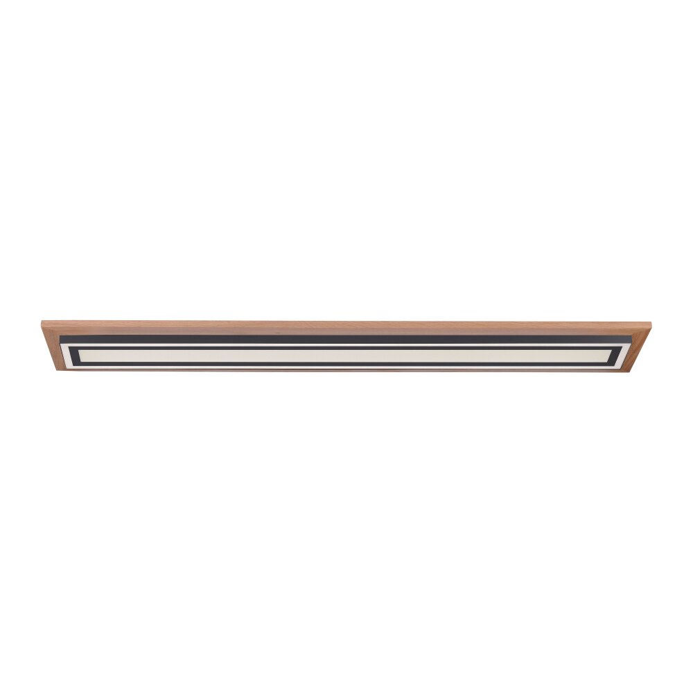 Paul Neuhaus Lampor PALMA Taklampa LED Naturfärger, Svart, 2-ljuskällor, Fjärrkontroll main product photo