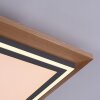 Paul Neuhaus Lampor PALMA Taklampa LED Naturfärger, Svart, 2-ljuskällor, Fjärrkontroll