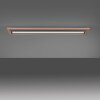 Paul Neuhaus Lampor PALMA Taklampa LED Naturfärger, Svart, 2-ljuskällor, Fjärrkontroll