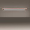 Paul Neuhaus Lampor PALMA Taklampa LED Naturfärger, Svart, 2-ljuskällor, Fjärrkontroll