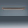 Paul Neuhaus Lampor PALMA Taklampa LED Naturfärger, Svart, 2-ljuskällor, Fjärrkontroll