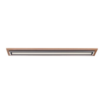 Paul Neuhaus Lampor PALMA Taklampa LED Naturfärger, Svart, 2-ljuskällor, Fjärrkontroll