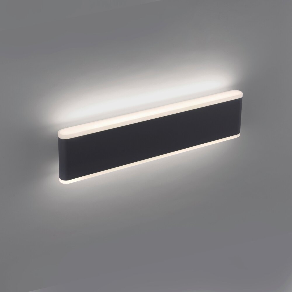 Paul Neuhaus ELSA vägglampa utomhus LED Antracit, 2-ljuskällor main product photo