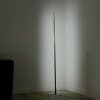 Leuchten Direkt HENRY Golvlampa, Golvlampa LED Stål borstat, 1-ljuskällor, Fjärrkontroll, Färgväxlare