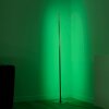 Leuchten Direkt HENRY Golvlampa, Golvlampa LED Stål borstat, 1-ljuskällor, Fjärrkontroll, Färgväxlare