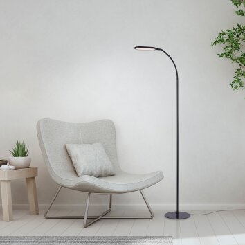 Leuchten Direkt KELLY Golvlampa, Golvlampa LED Svart, 1-ljuskällor
