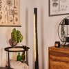 Rodeche Golvlampa LED Nickel matt, Svart, 1-ljuskällor