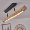 Winterthur Taklampa LED Naturfärger, 1-ljuskällor