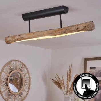 Winterthur Taklampa LED Naturfärger, 1-ljuskällor