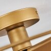 Samatrai Taklampa Guld, 1-ljuskällor