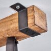 Pehefito Taklampa, Takstrålkastare Svart, 3-ljuskällor