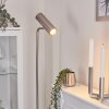 Zuoz Golvlampa, Golvlampa Nickel matt, 1-ljuskällor
