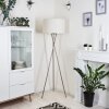 Antillo Golvlampa, Golvlampa Nickel matt, 1-ljuskällor