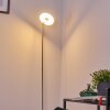 Umag Golvlampa LED Färg i rostfritt stål, 1-ljuskällor