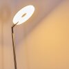 Umag Golvlampa LED Färg i rostfritt stål, 1-ljuskällor