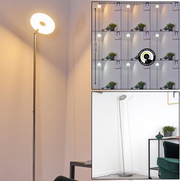 Umag Golvlampa LED Färg i rostfritt stål, 1-ljuskällor