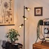Verbania Golvlampa, Golvlampa Svart, 3-ljuskällor