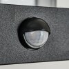 Caudry vägglampa utomhus Svart, 1-ljuskällor, Rörelsedetektor