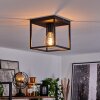 Malao Taklampa Svart, 1-ljuskällor