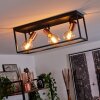 Malao Taklampa Roséguld, Svart, 3-ljuskällor