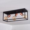 Malao Taklampa Roséguld, Svart, 3-ljuskällor
