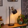 Pretoria Bordslampa, Läslampa, 1-ljuskällor