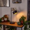 Pretoria Bordslampa, Läslampa, 1-ljuskällor