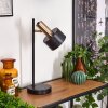 Pretoria Bordslampa, Läslampa, 1-ljuskällor