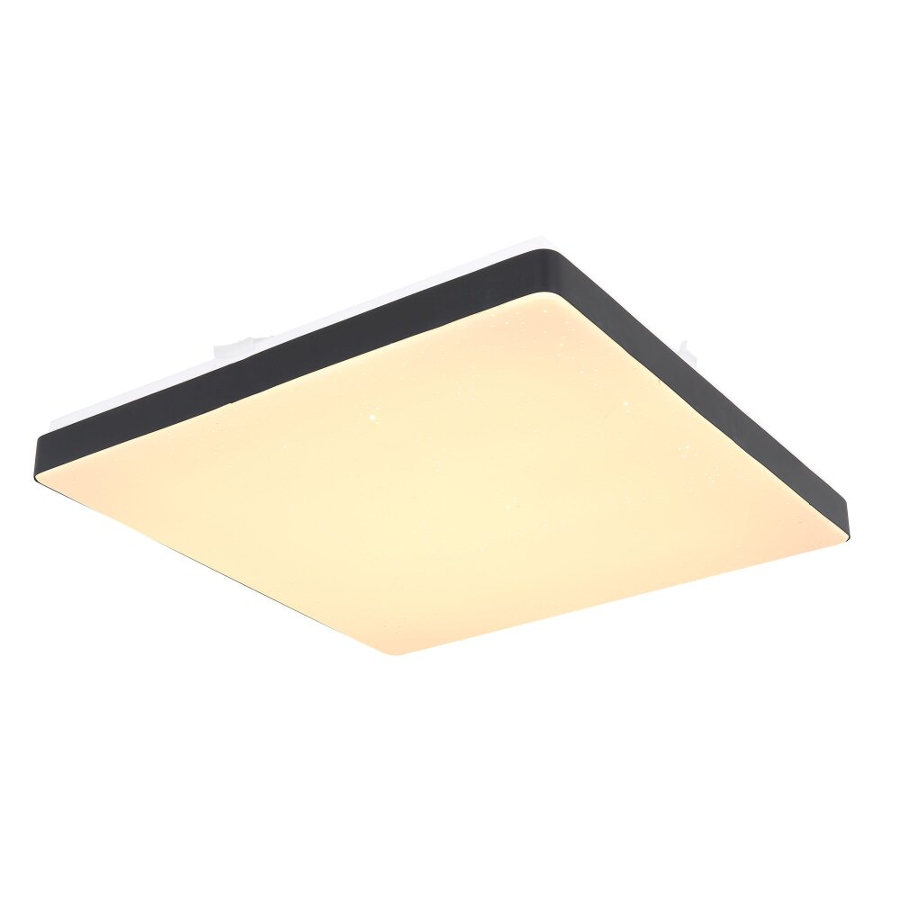 Globo RAINA Taklampa, Panel LED Svart, Vit, 1-ljuskällor main product photo