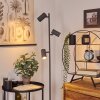 Javel Golvlampa Grått, träoptik, Svart, 3-ljuskällor