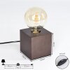 Lagradioule Bordslampa Brun, Brons, 1-ljuskällor