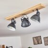 Svanfolk Taklampa, Takstrålkastare Blå, Brun, Grått, Vit, 3-ljuskällor