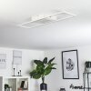 Vaseux Taklampa LED Vit, 1-ljuskällor