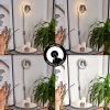 Viata Vägglampa, Väggspotlight LED Grått, Nickel matt, 2-ljuskällor