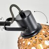 Aeschi Vägglampa, Väggspotlight Svart, 1-ljuskällor