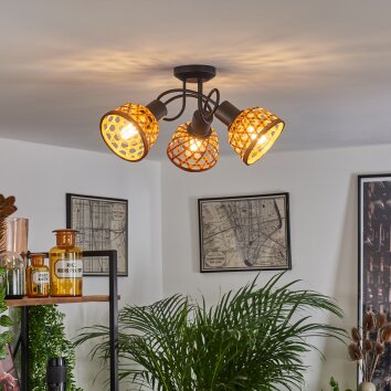 Aeschi Taklampa Naturfärger, Svart, 3-ljuskällor