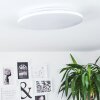 Bergell Taklampa, Panel LED Vit, 1-ljuskällor