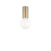 Ideallux PETIT Taklampa Mässing, 1-ljuskällor